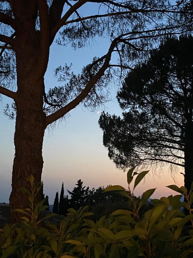 Holiday home Les De Saint Cassien Montauroux